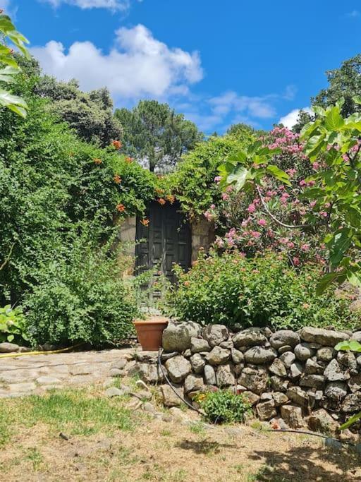 Casa Rural En Candeleda Con Piscina Y Un Maravilloso Jardin Exterior foto