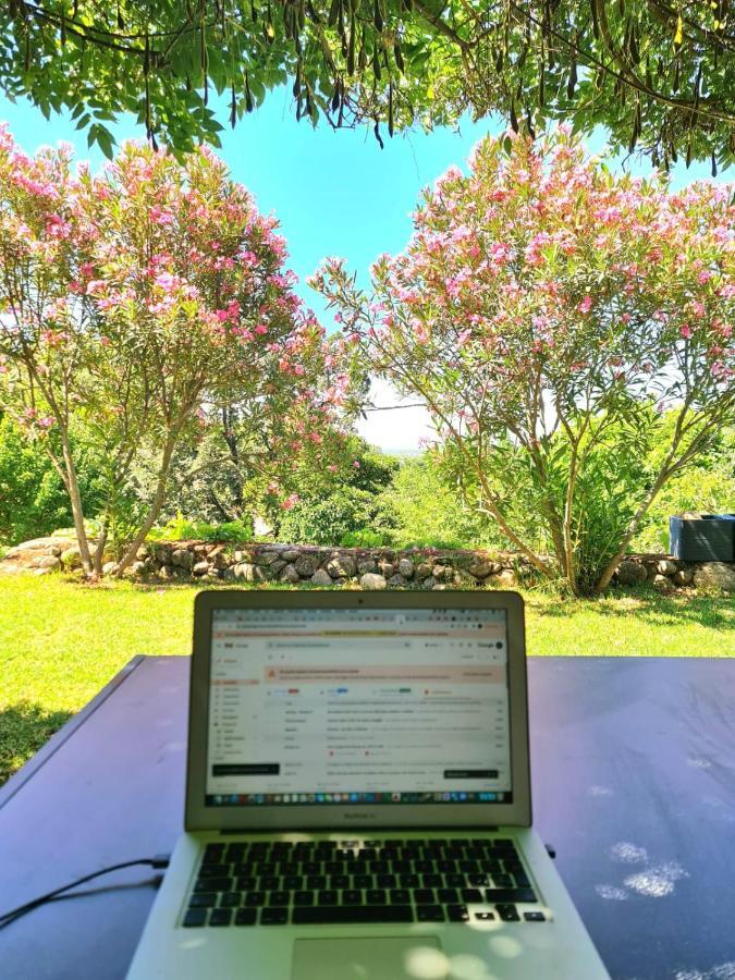 Casa Rural En Candeleda Con Piscina Y Un Maravilloso Jardin Exterior foto