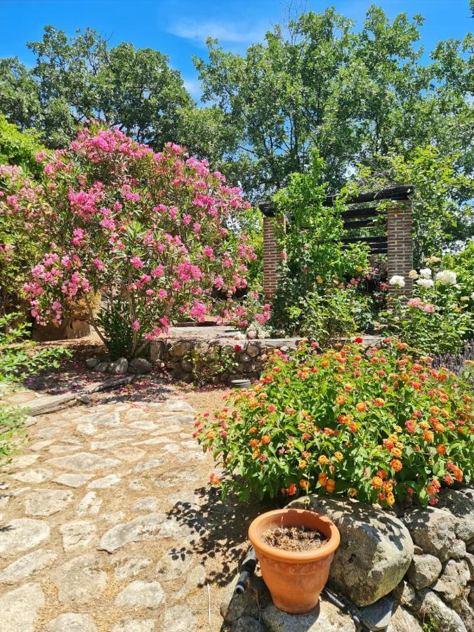 Casa Rural En Candeleda Con Piscina Y Un Maravilloso Jardin Exterior foto