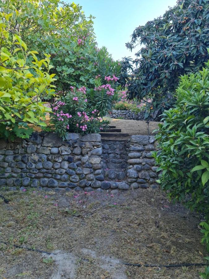Casa Rural En Candeleda Con Piscina Y Un Maravilloso Jardin Exterior foto