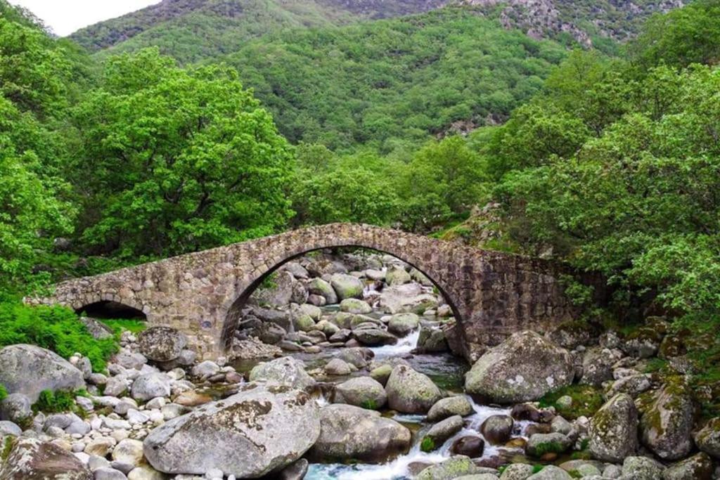 Casa Rural En Candeleda Con Piscina Y Un Maravilloso Jardin Exterior foto