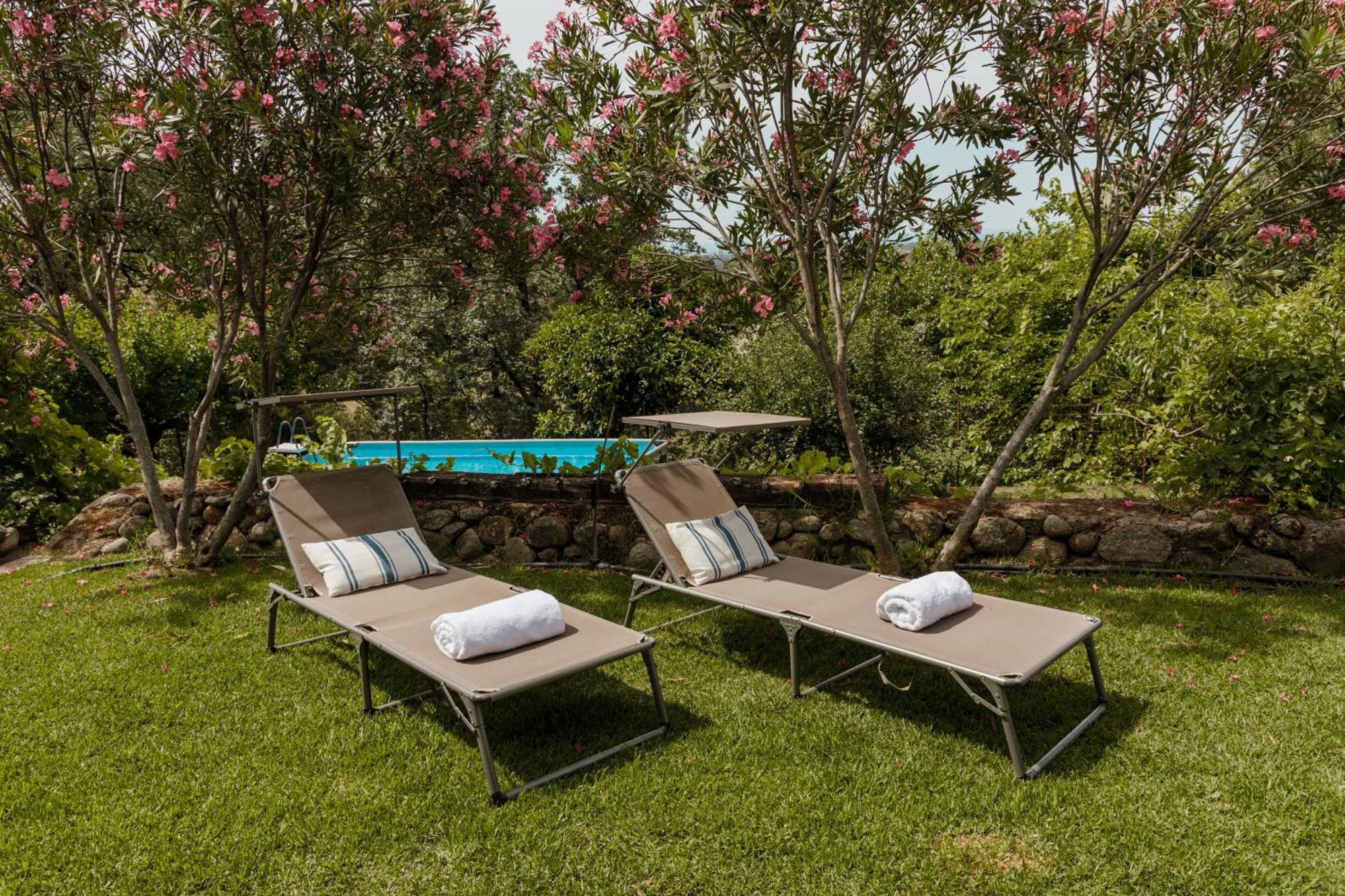 Casa Rural En Candeleda Con Piscina Y Un Maravilloso Jardin Exterior foto